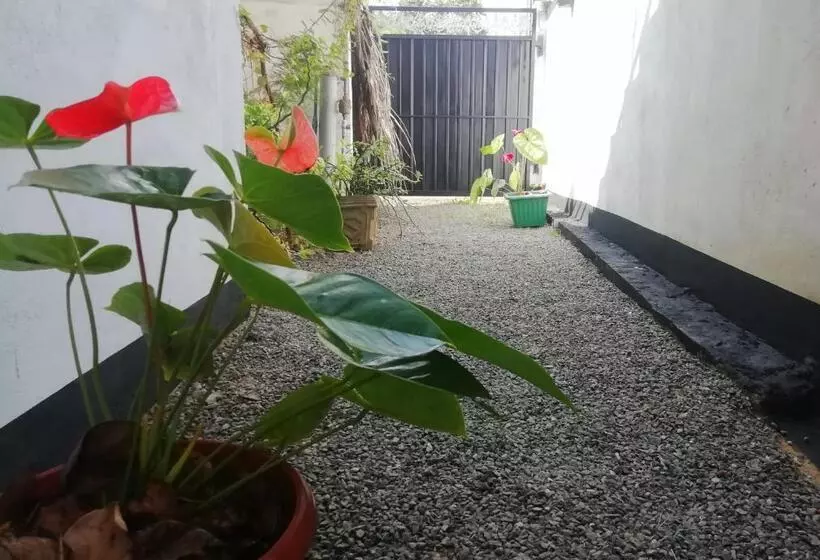 Majatalo New Coral Garden Weligama