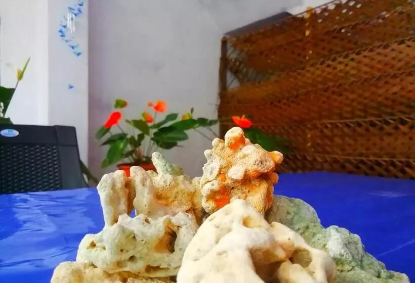 Majatalo New Coral Garden Weligama