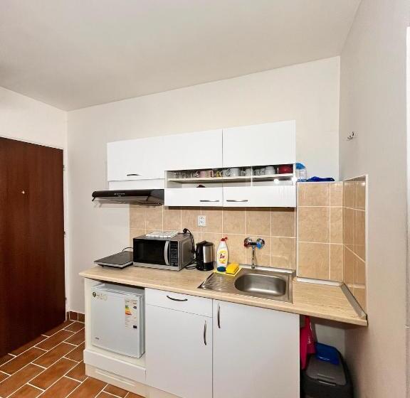 ペンション Vila Morava