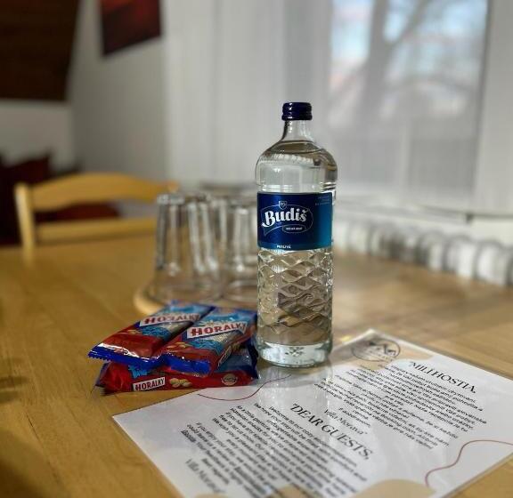 ペンション Vila Morava