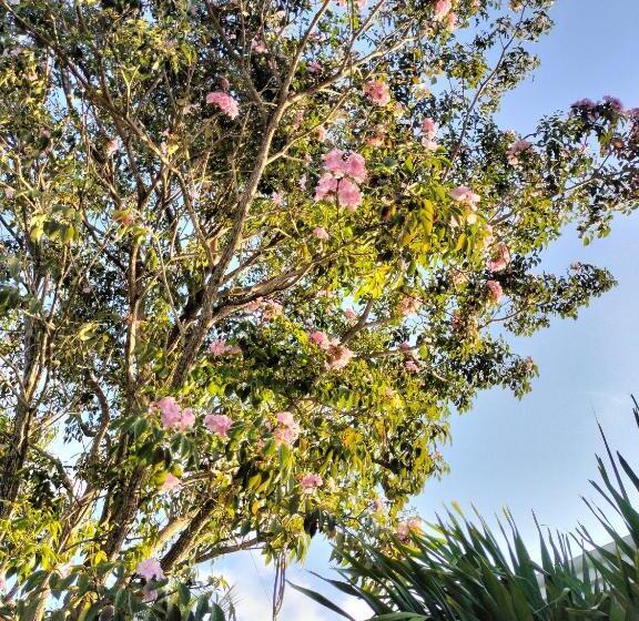 Villa Gabriela Celestún  Hotel & Restaurant