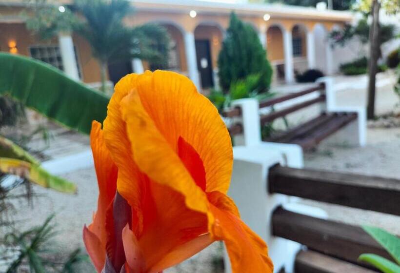 Villa Gabriela Celestún  Hotel & Restaurant