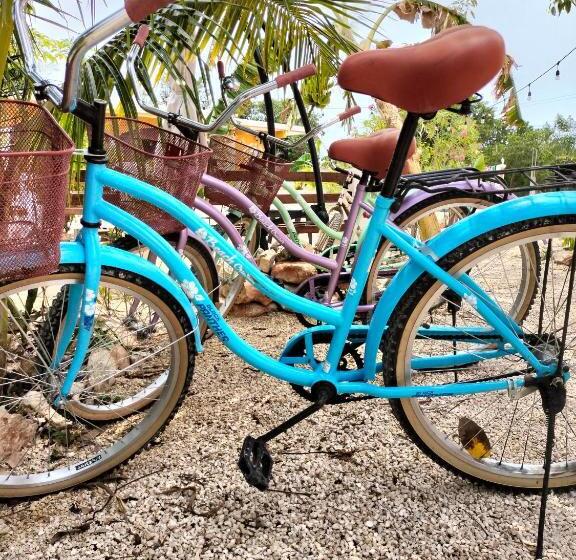 Villa Gabriela Celestún  Hotel & Restaurant