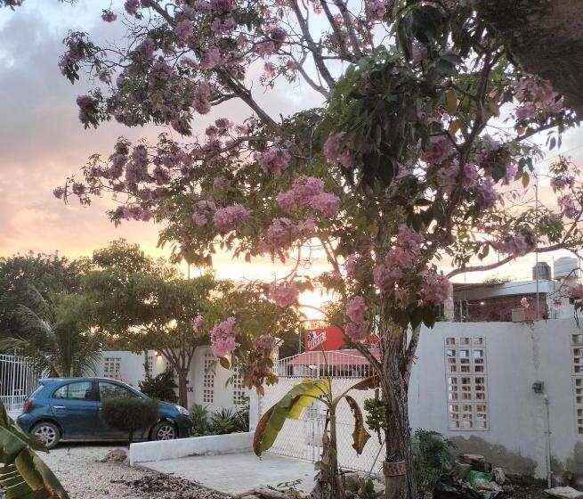 Villa Gabriela Celestún  Hotel & Restaurant