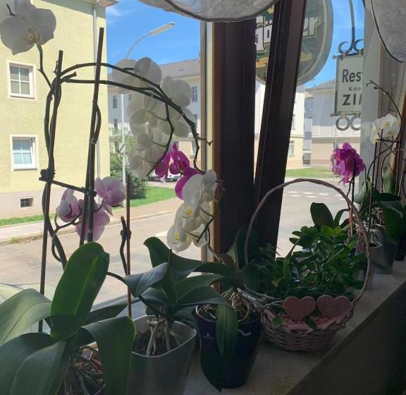 호스텔 Gasthof Knezevic