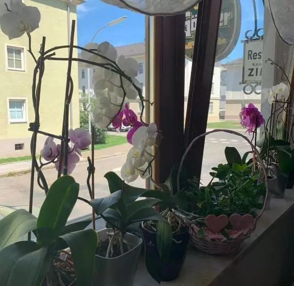 ユースホステル Gasthof Knezevic