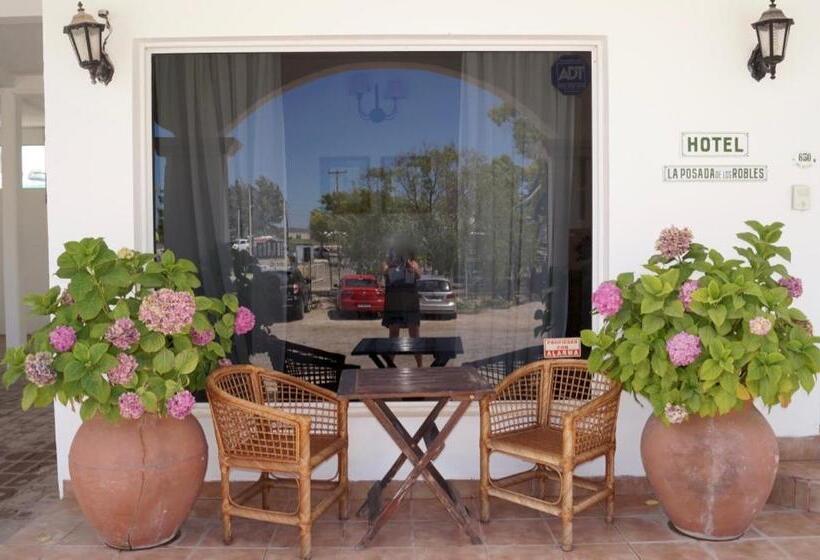 هاستل La Posada De Los Robles