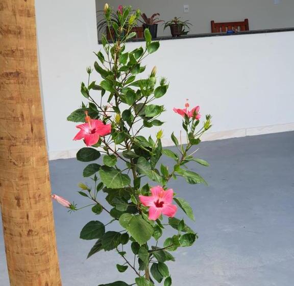 ユースホステル Pousada Canto Da Barra