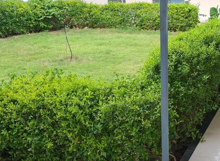 Albergue Topaz Backpackers