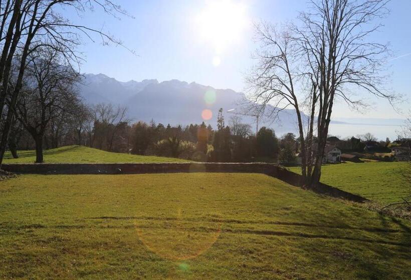 تختخواب و صبحانه California