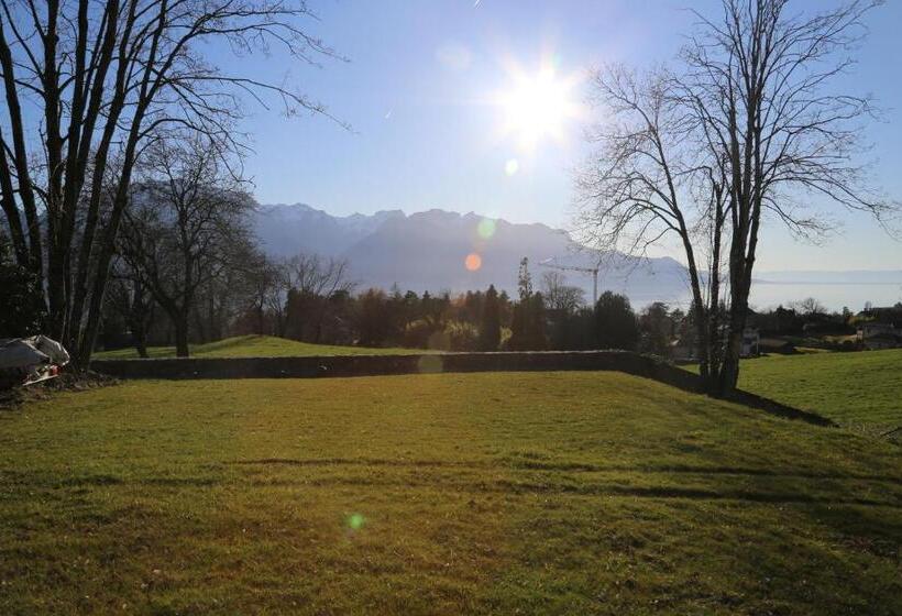 تختخواب و صبحانه California