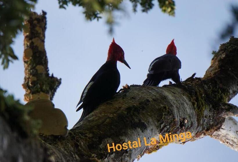 Bed & Breakfast Hostal La Minga