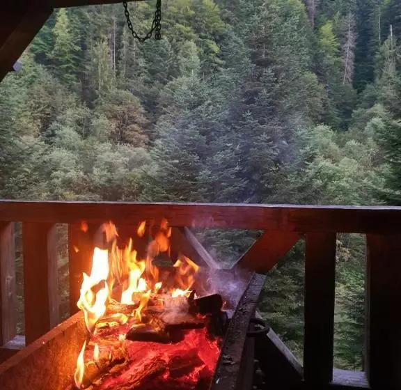 Hotelli готель ярсон