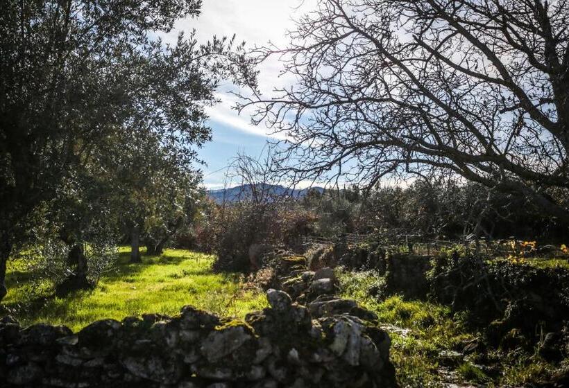 هتل Suite Da Casa Da Avó