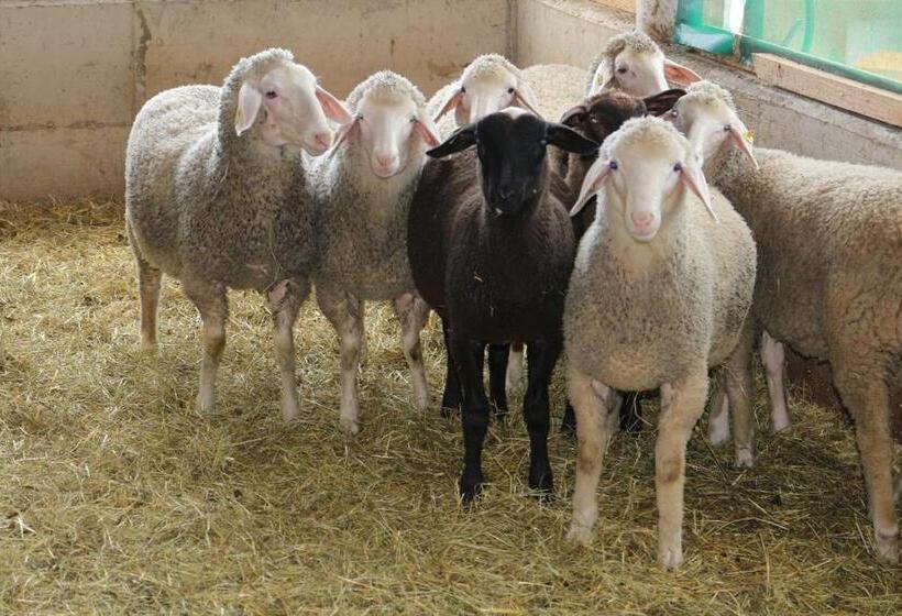 Отель Lindlhof Fam. Taferner