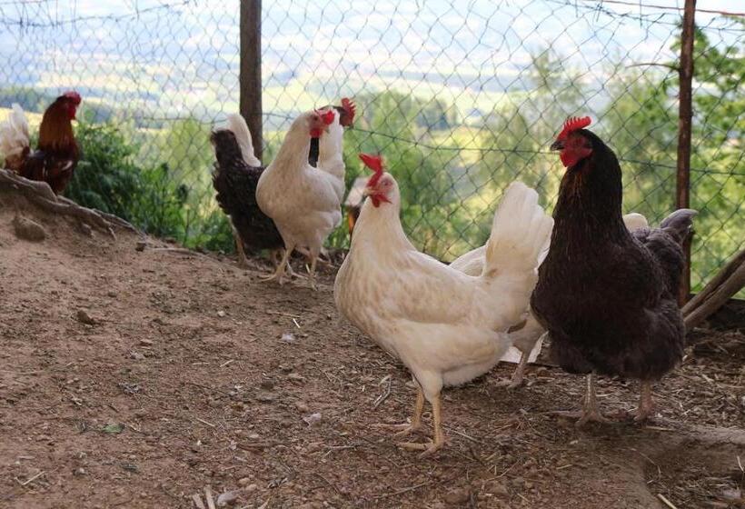 Отель Lindlhof Fam. Taferner