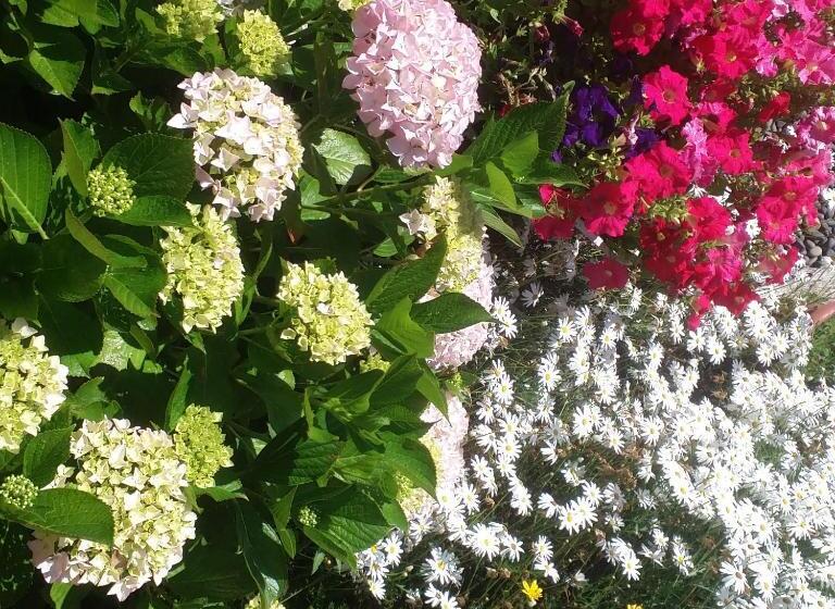 فندق Shangrila Tunquen