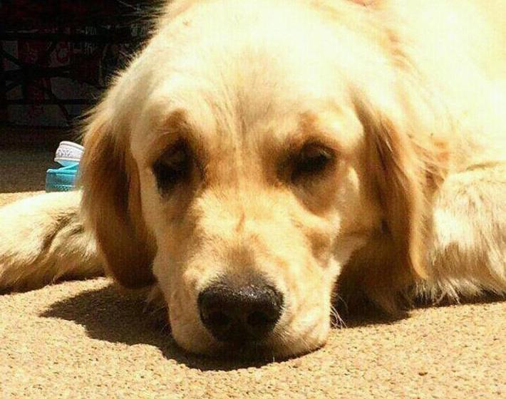 فندق Shangrila Tunquen