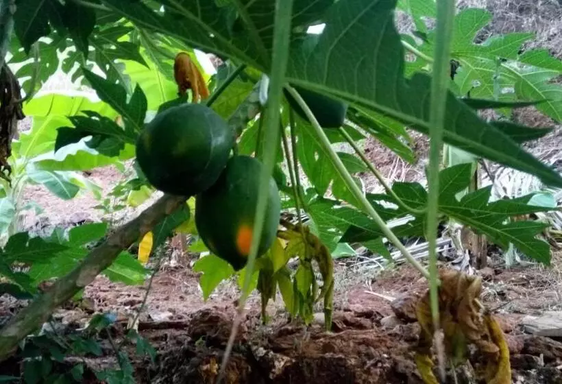 Majatalo Barve Homes