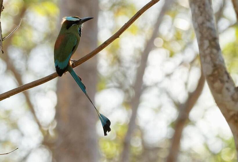 پانسیون Centro Ecoturístico Flor De Pochote