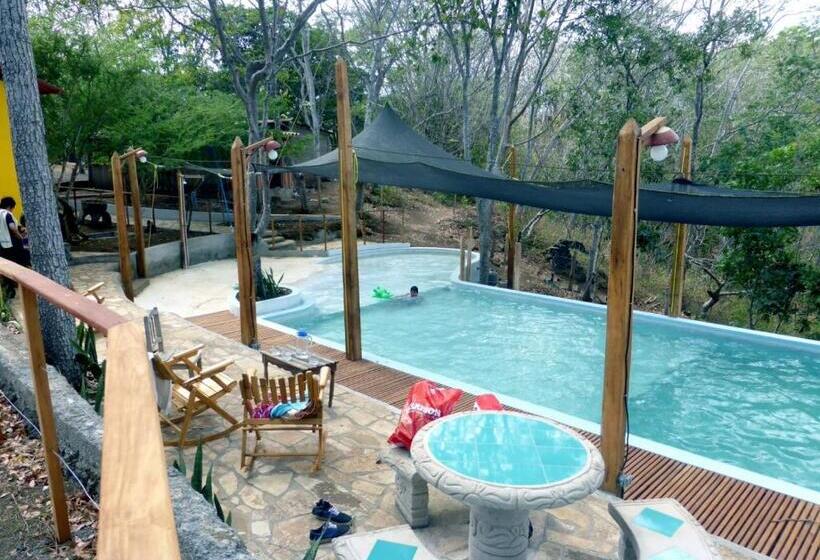 پانسیون Centro Ecoturístico Flor De Pochote