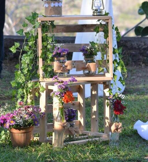 پانسیون Centro Ecoturístico Flor De Pochote