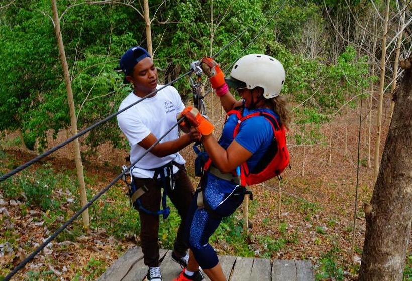 پانسیون Centro Ecoturístico Flor De Pochote