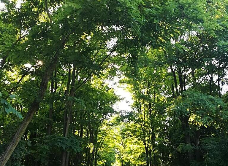 膳宿费 Lila Akác Vendégház