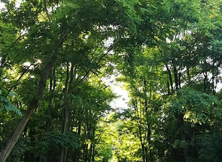 Majatalo Lila Akác Vendégház