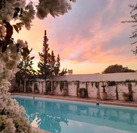 پانسیون Riad Sanam Essaouira