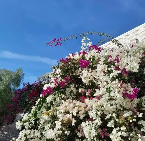 Majatalo Riad Sanam Essaouira