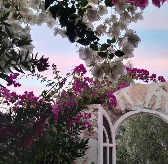 پانسیون Riad Sanam Essaouira