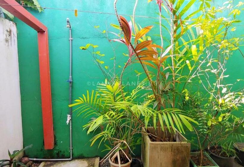 بنسيون Twin Palms