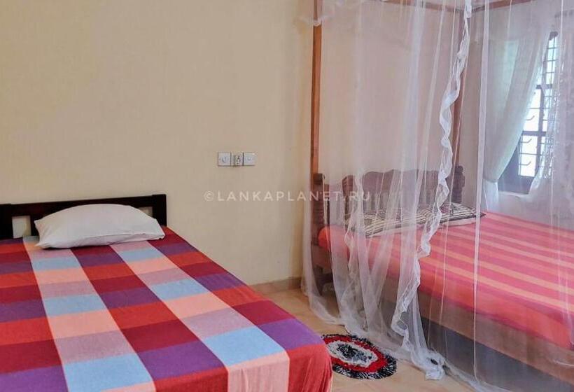 بنسيون Twin Palms