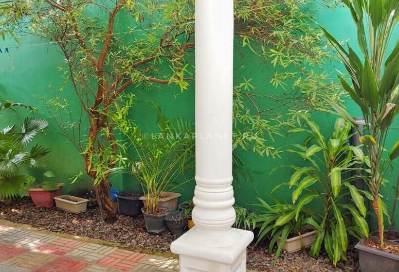 بنسيون Twin Palms