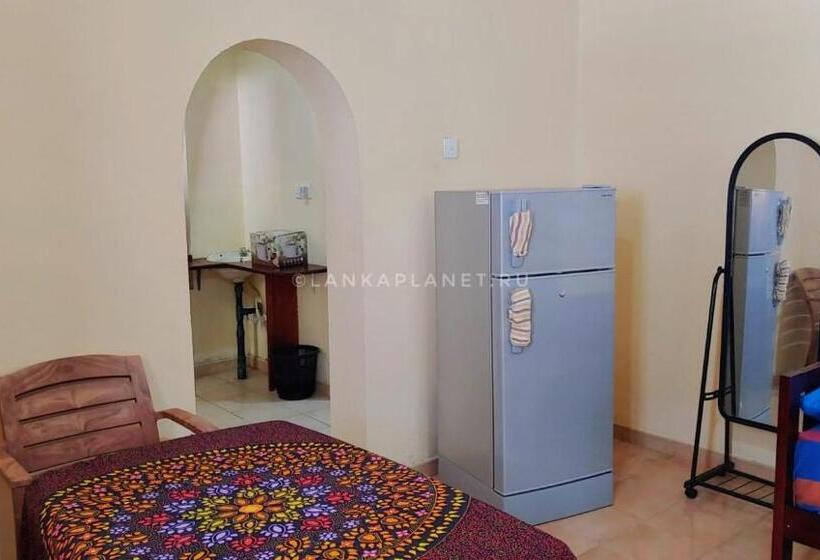 بنسيون Twin Palms