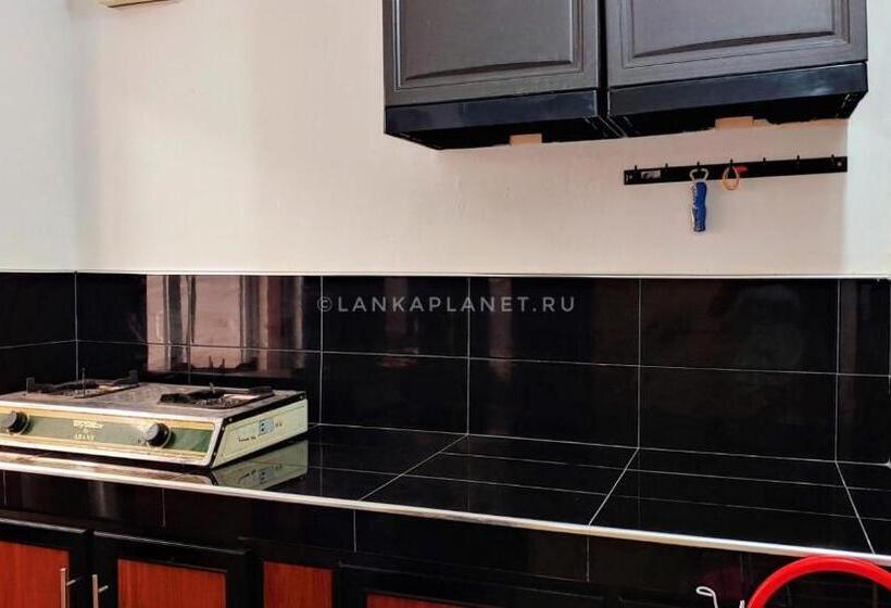 بنسيون Twin Palms