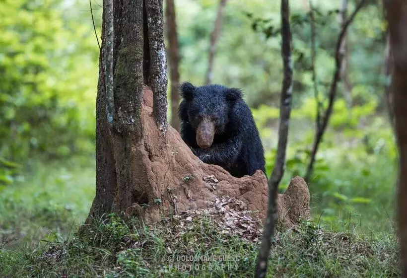 Majatalo Wilpattu Dolosmahe