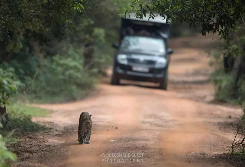Majatalo Wilpattu Dolosmahe