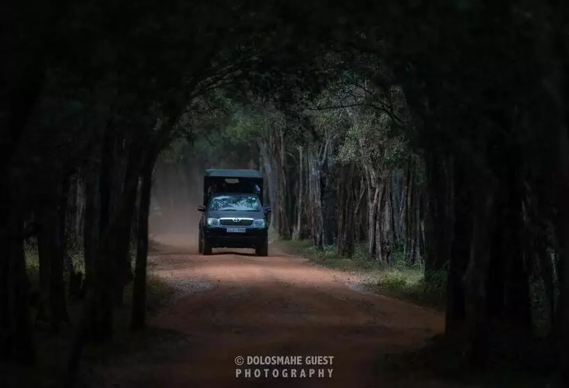 Majatalo Wilpattu Dolosmahe