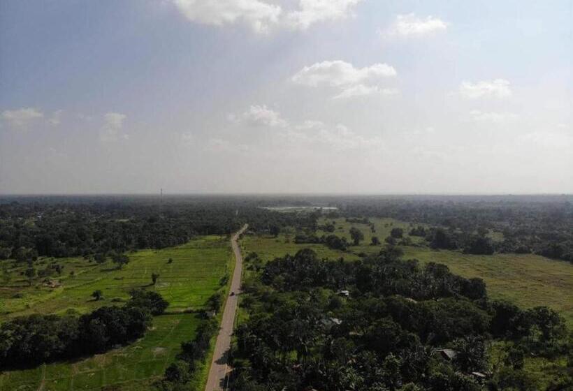 膳宿费 Wilpattu Dolosmahe