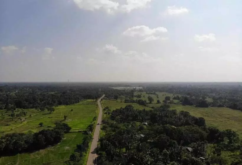 Majatalo Wilpattu Dolosmahe