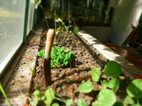 هاستل La Casona De Odile