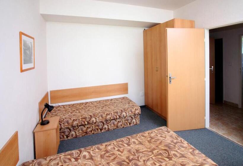 ユースホステル Penzion A Ubytovna Oáza