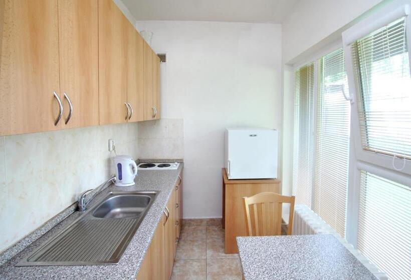 ユースホステル Penzion A Ubytovna Oáza