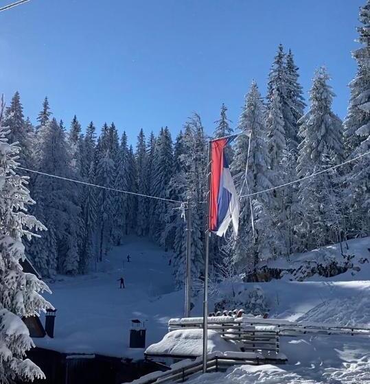 Bed And Breakfast Vila Lala