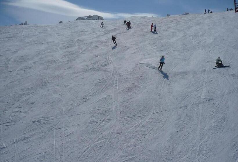 Bed And Breakfast Vila Lala