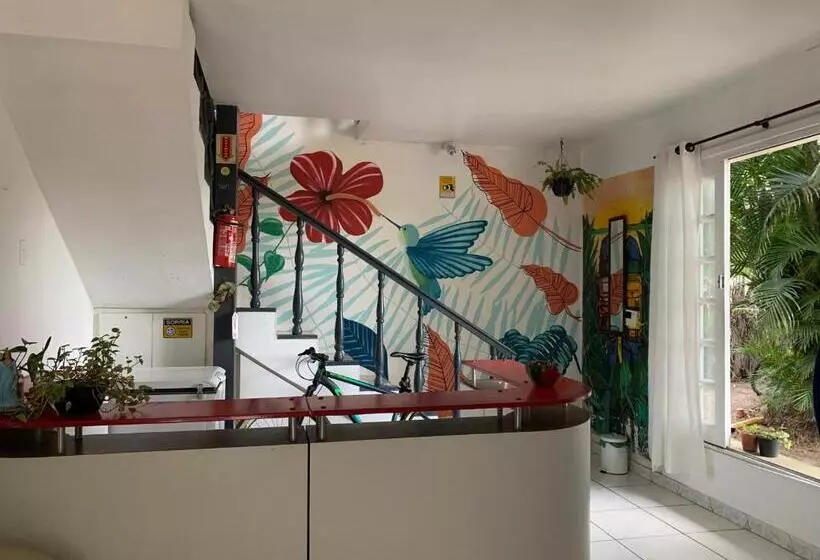 Floripa Camping E Hostel