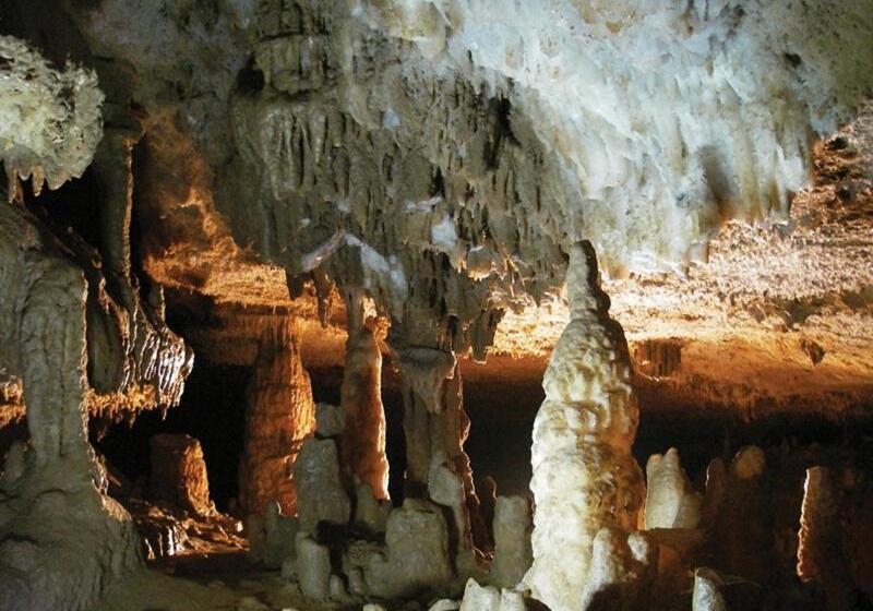 ホテル Albergo Delle Alpi