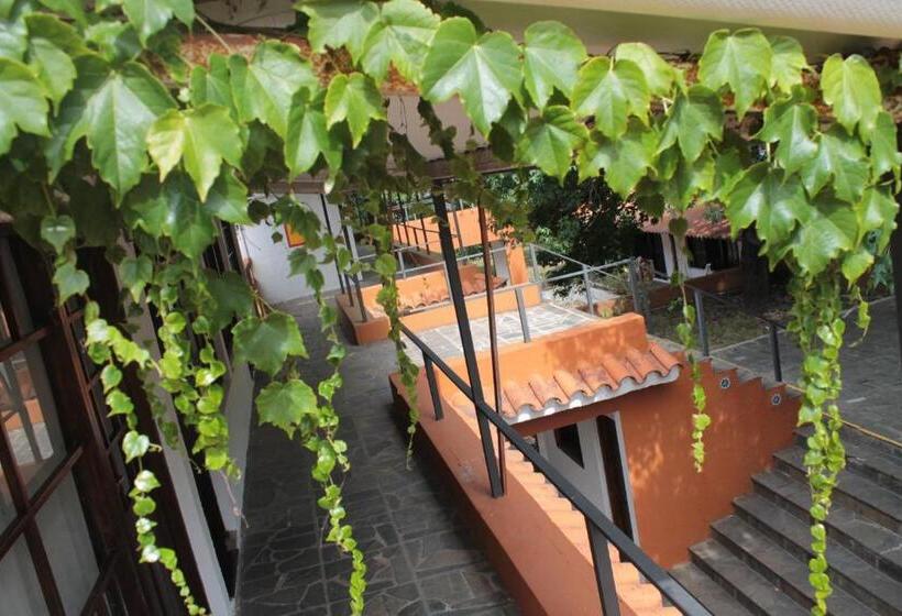 ホテル La Ballena